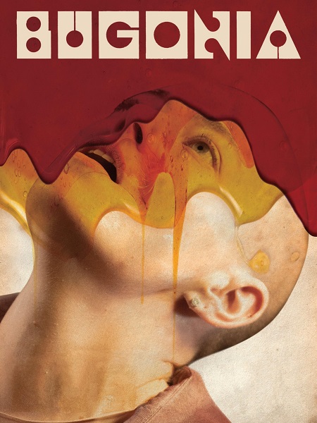 صورة الغلاف